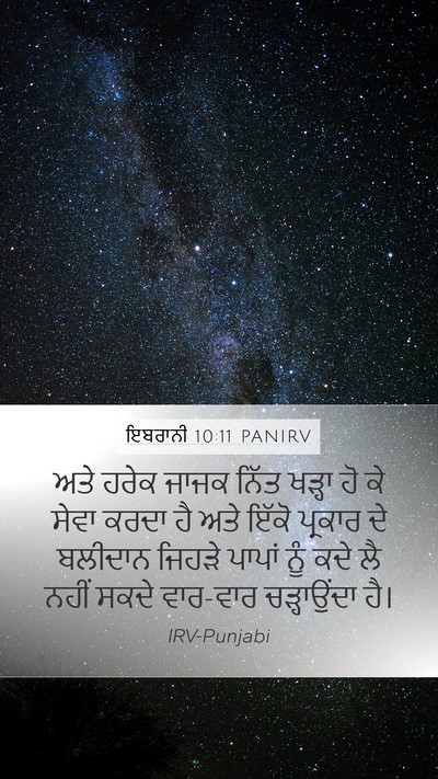 ਇਬਰਾਨੀ 10:11 PANIRV Bible Verse Image