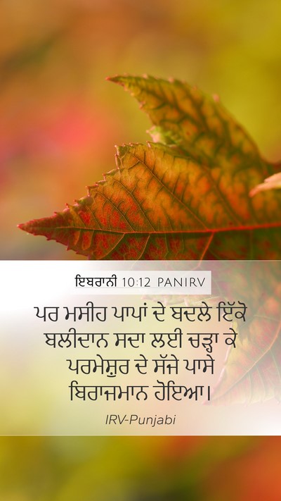 ਇਬਰਾਨੀ 10:12 PANIRV Bible Verse Image