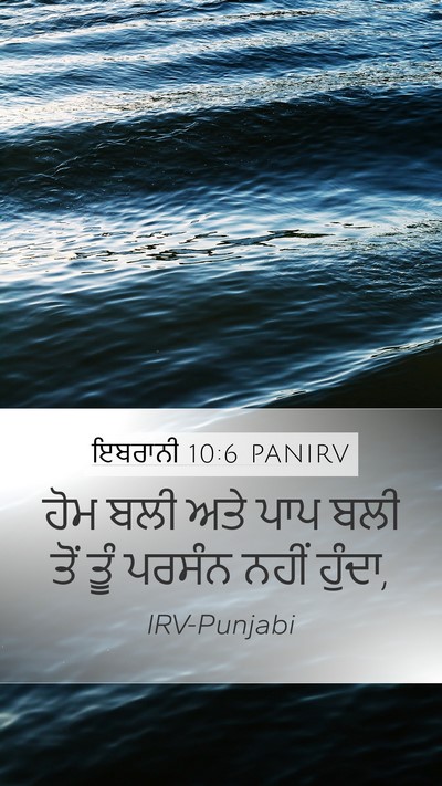 ਇਬਰਾਨੀ 10:6 PANIRV Bible Verse Image
