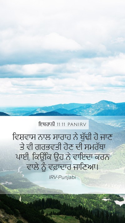 ਇਬਰਾਨੀ 11:11 PANIRV Bible Verse Image
