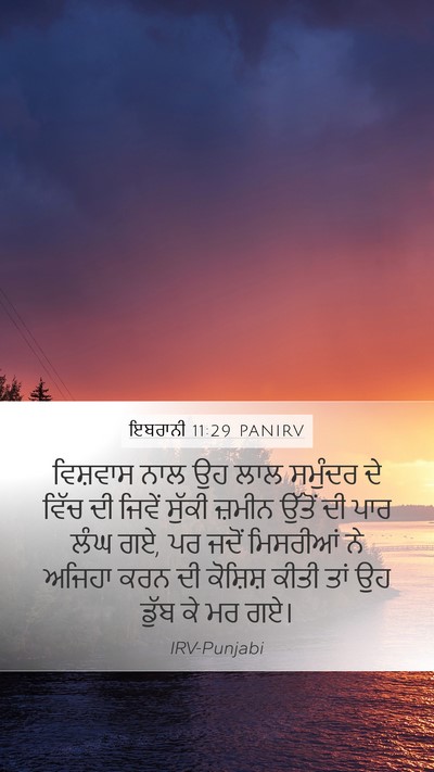ਇਬਰਾਨੀ 11:29 PANIRV Bible Verse Image