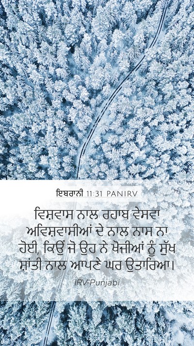 ਇਬਰਾਨੀ 11:31 PANIRV Bible Verse Image