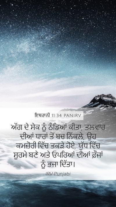 ਇਬਰਾਨੀ 11:34 PANIRV Bible Verse Image