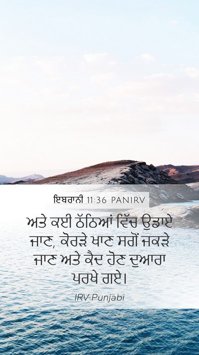 ਇਬਰਾਨੀ 11:36 PANIRV Bible Verse Image
