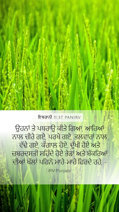 ਇਬਰਾਨੀ 11:37 PANIRV Bible Verse Image