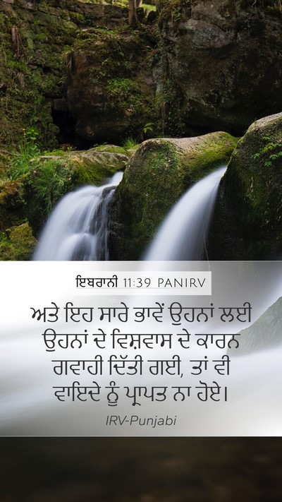ਇਬਰਾਨੀ 11:39 PANIRV Bible Verse Image