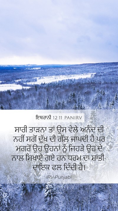 ਇਬਰਾਨੀ 12:11 PANIRV Bible Verse Image