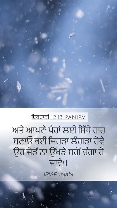 ਇਬਰਾਨੀ 12:13 PANIRV Bible Verse Image