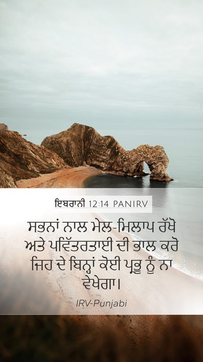 ਇਬਰਾਨੀ 12:14 PANIRV Bible Verse Image