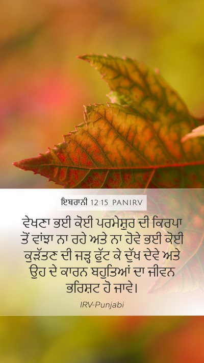 ਇਬਰਾਨੀ 12:15 PANIRV Bible Verse Image