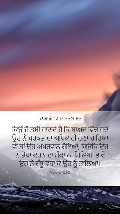 ਇਬਰਾਨੀ 12:17 PANIRV Bible Verse Image