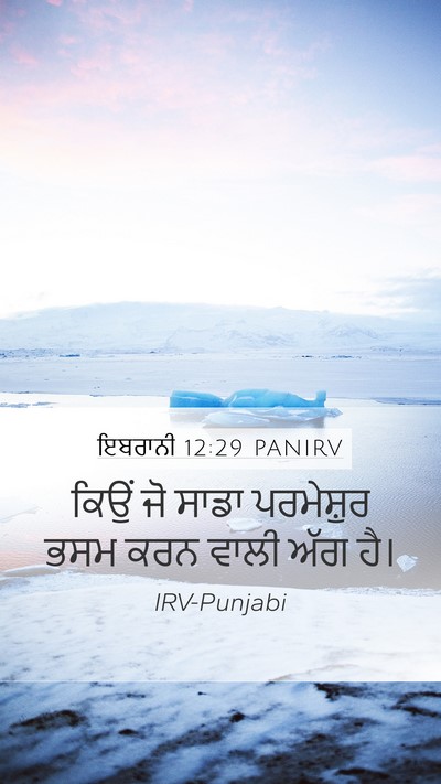 ਇਬਰਾਨੀ 12:29 PANIRV Mobile Phone Wallpaper - ਕਿਉਂ ਜੋ ਸਾਡਾ - Mobile Bible Verse Wallpaper