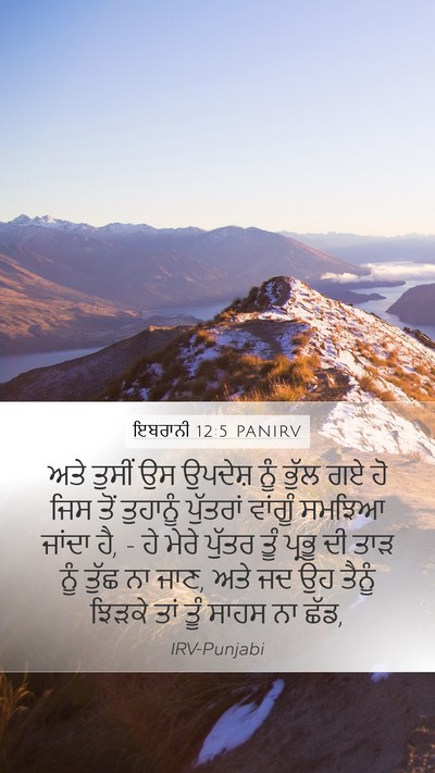 ਇਬਰਾਨੀ 12:5 PANIRV Bible Verse Image