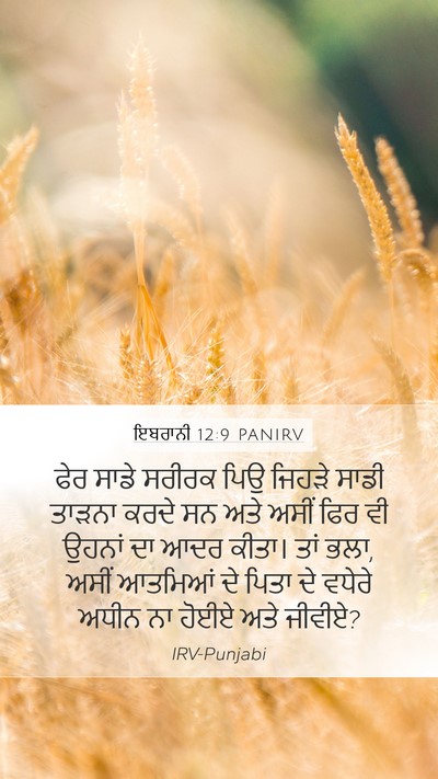 ਇਬਰਾਨੀ 12:9 PANIRV Bible Verse Image