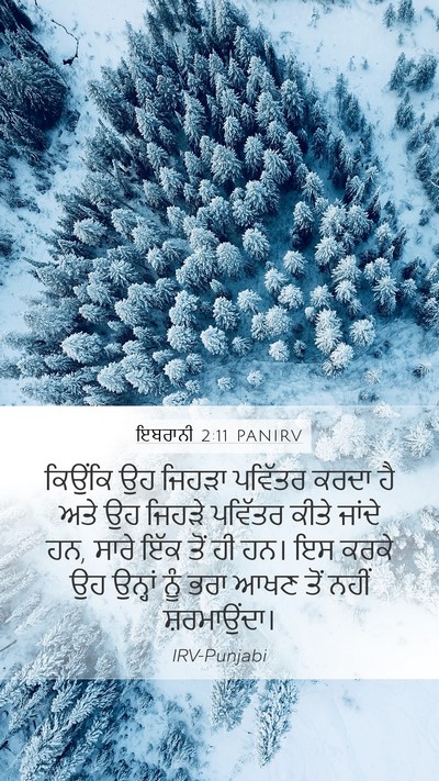 ਇਬਰਾਨੀ 2:11 PANIRV Bible Verse Image