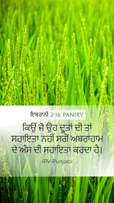 ਇਬਰਾਨੀ 2:16 PANIRV Bible Verse Image