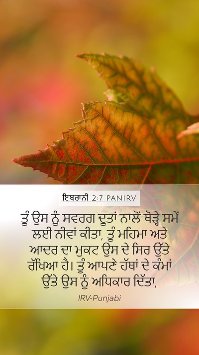 ਇਬਰਾਨੀ 2:7 PANIRV Bible Verse Image