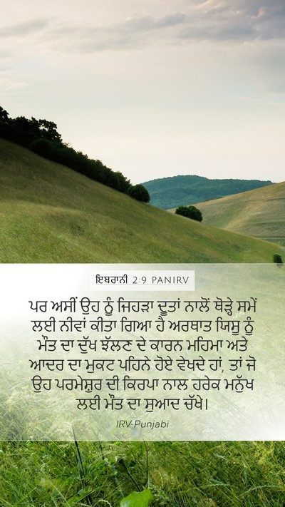 ਇਬਰਾਨੀ 2:9 PANIRV Bible Verse Image