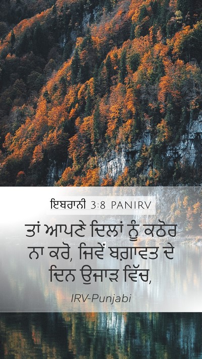 ਇਬਰਾਨੀ 3:8 PANIRV Bible Verse Image