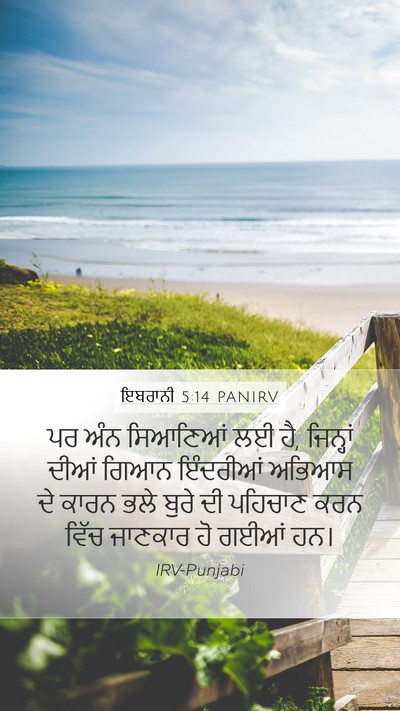ਇਬਰਾਨੀ 5:14 PANIRV Bible Verse Image