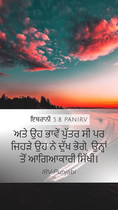 ਇਬਰਾਨੀ 5:8 PANIRV Bible Verse Image