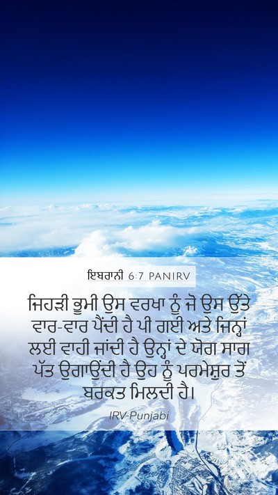 ਇਬਰਾਨੀ 6:7 PANIRV Bible Verse Image