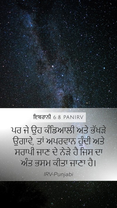ਇਬਰਾਨੀ 6:8 PANIRV Bible Verse Image