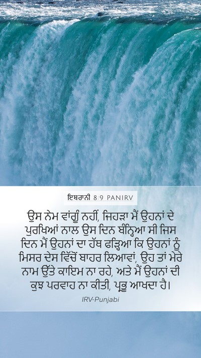 ਇਬਰਾਨੀ 8:9 PANIRV Bible Verse Image