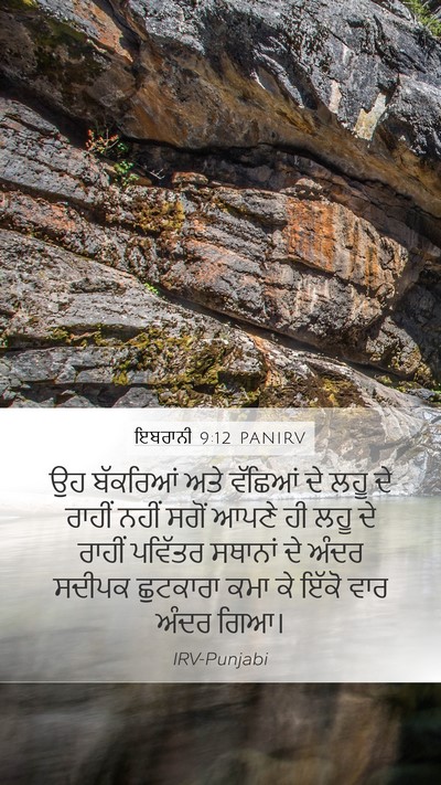 ਇਬਰਾਨੀ 9:12 PANIRV Bible Verse Image