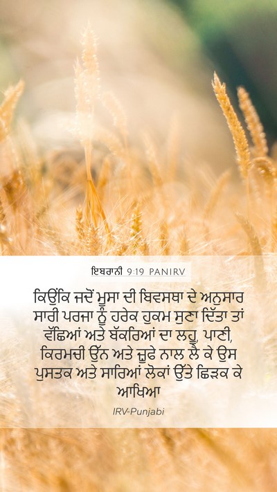 ਇਬਰਾਨੀ 9:19 PANIRV Bible Verse Image