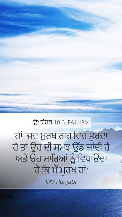ਉਪਦੇਸ਼ਕ 10:3 PANIRV Bible Verse Image