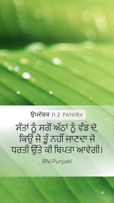 ਉਪਦੇਸ਼ਕ 11:2 PANIRV Bible Verse Image