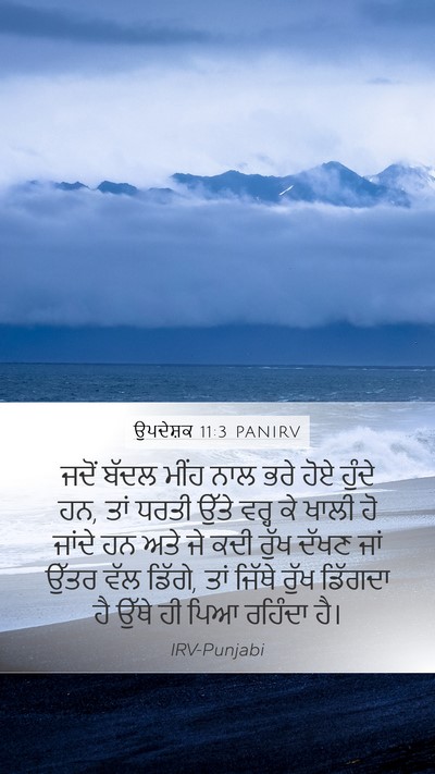 ਉਪਦੇਸ਼ਕ 11:3 PANIRV Bible Verse Image