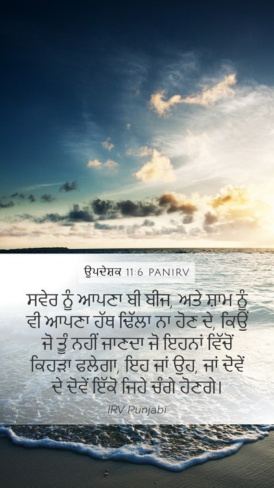 ਉਪਦੇਸ਼ਕ 11:6 PANIRV Bible Verse Image