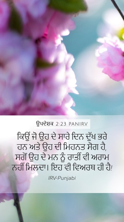 ਉਪਦੇਸ਼ਕ 2:23 PANIRV Bible Verse Image