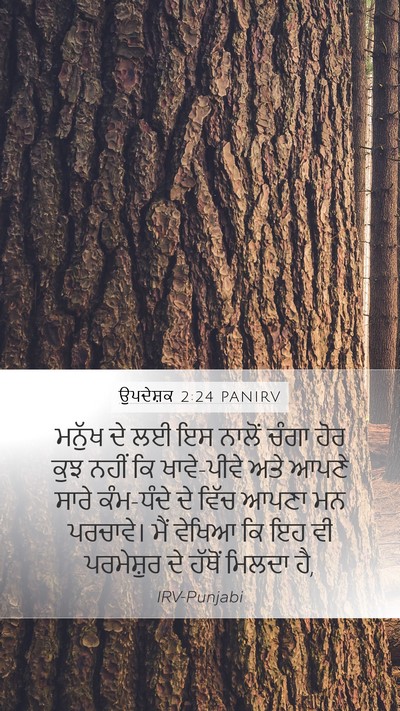 ਉਪਦੇਸ਼ਕ 2:24 PANIRV Bible Verse Image