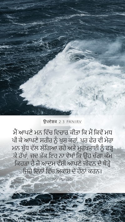 ਉਪਦੇਸ਼ਕ 2:3 PANIRV Bible Verse Image