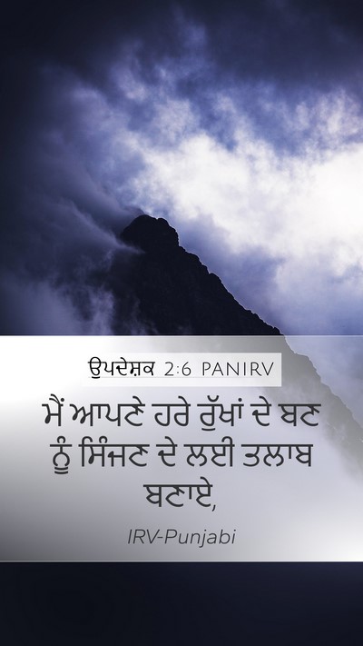 ਉਪਦੇਸ਼ਕ 2:6 PANIRV Bible Verse Image