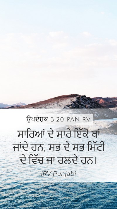 ਉਪਦੇਸ਼ਕ 3:20 PANIRV Bible Verse Image