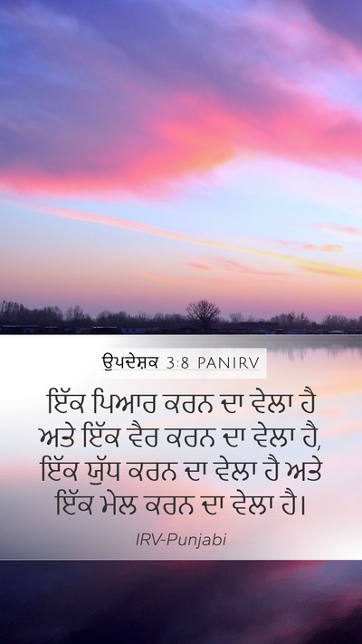ਉਪਦੇਸ਼ਕ 3:8 PANIRV Bible Verse Image