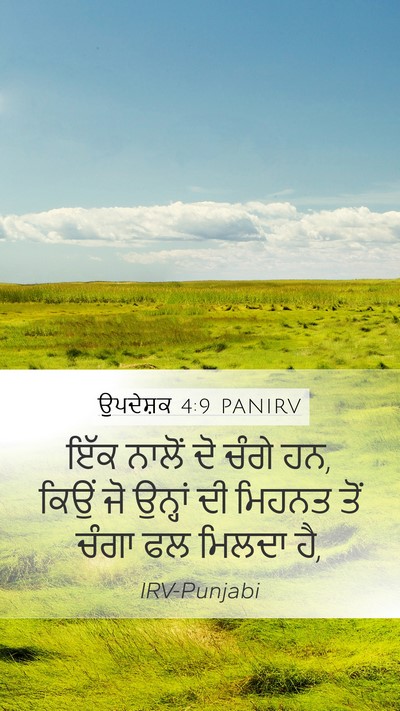 ਉਪਦੇਸ਼ਕ 4:9 PANIRV Bible Verse Image