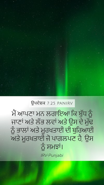 ਉਪਦੇਸ਼ਕ 7:25 PANIRV Bible Verse Image