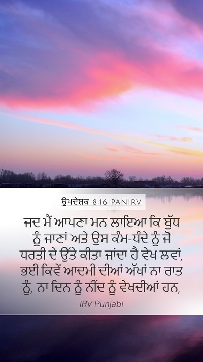 ਉਪਦੇਸ਼ਕ 8:16 PANIRV Bible Verse Image