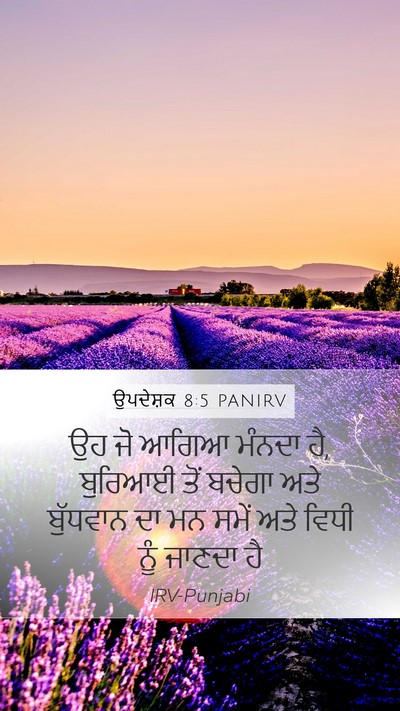 ਉਪਦੇਸ਼ਕ 8:5 PANIRV Bible Verse Image