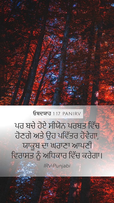 ਓਬਦਯਾਹ 1:17 PANIRV Bible Verse Image