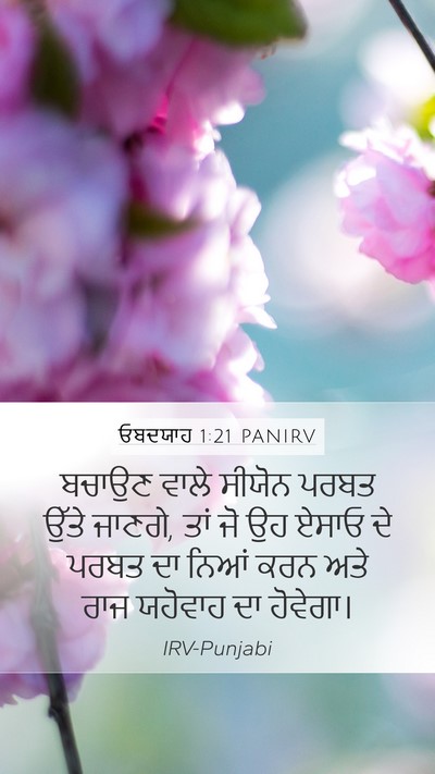 ਓਬਦਯਾਹ 1:21 PANIRV Bible Verse Image