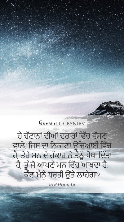 ਓਬਦਯਾਹ 1:3 PANIRV Bible Verse Image
