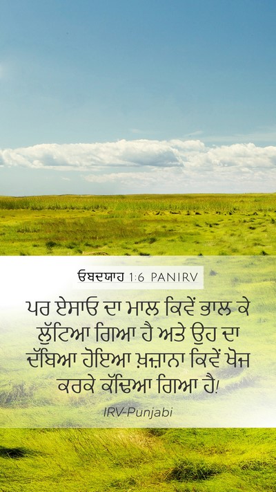 ਓਬਦਯਾਹ 1:6 PANIRV Bible Verse Image