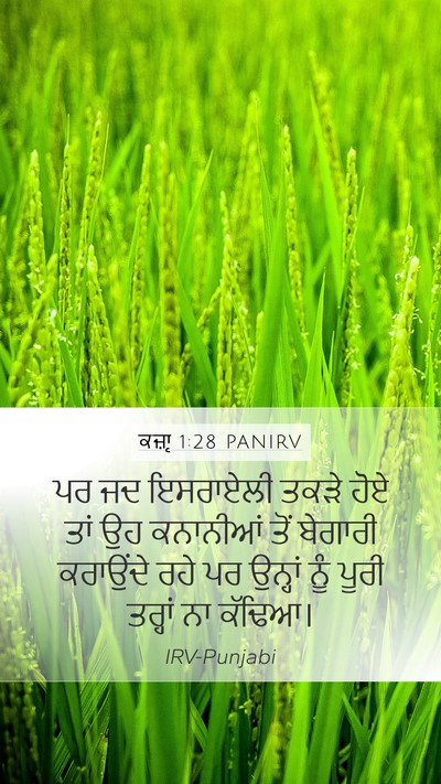 ਕਜ਼ਾૃ 1:28 PANIRV Bible Verse Image