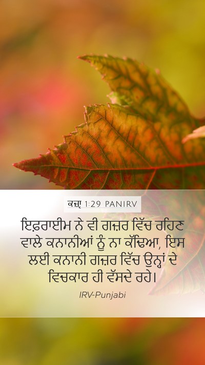 ਕਜ਼ਾૃ 1:29 PANIRV Bible Verse Image